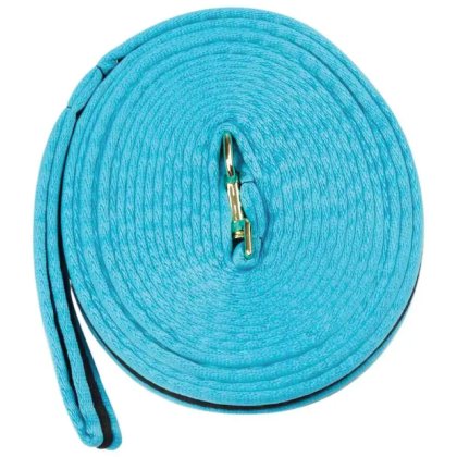 Brights Two Tone Padded Lunging Rein Brights Two Tone Padded Lunging Rein