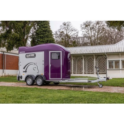 Cheval Liberte Gold Marathon - Purple