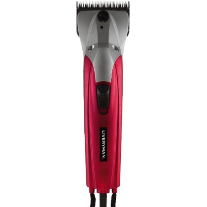 Liveryman Clipper Black Beauty Mains