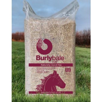 Burlybale Hay Burlybale Hay