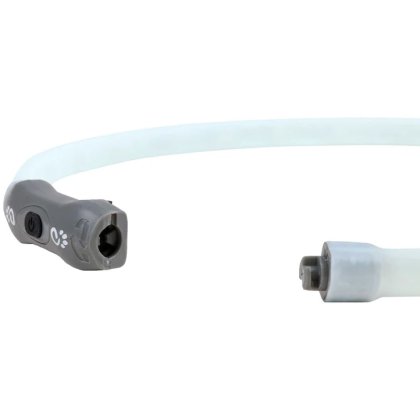 Rechargeable Dog Collar light