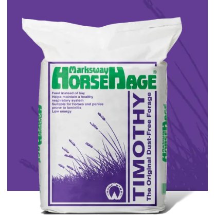 HorseHage Timothy HorseHage Timothy