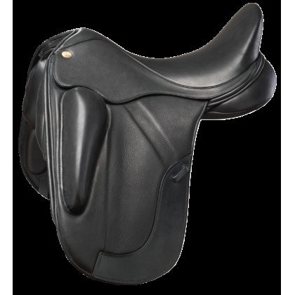 Fairfax Performance Petrus Dressage Fairfax Performance Petrus Dressage