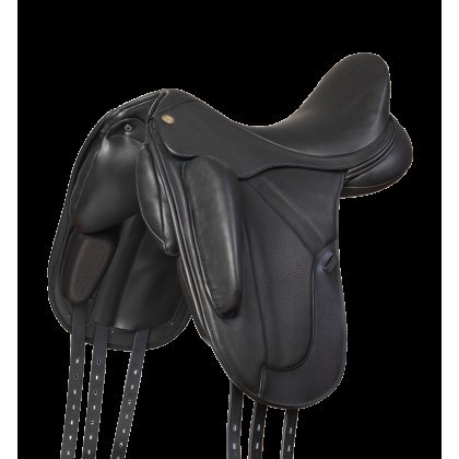 Fairfax Performance Petrus Dressage Fairfax Performance Petrus Dressage