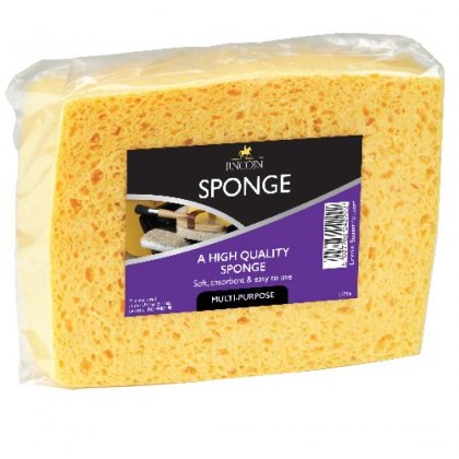 Lincoln Sponge Lincoln Sponge