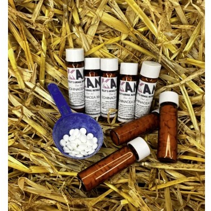 Kelly's Animal Naturals Echinacea 30X Kelly's Animal Naturals Echinacea 30X