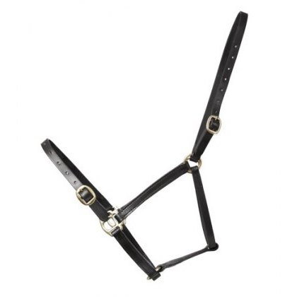 Leather Foal Head Collar