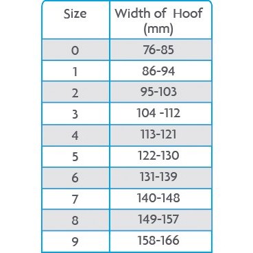 Woof Wear Medical Hoof Boot