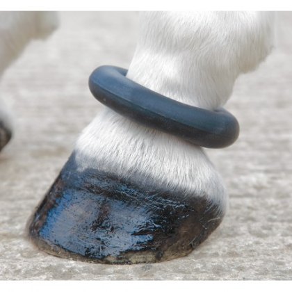 Shires Fetlock Ring Shires Fetlock Ring