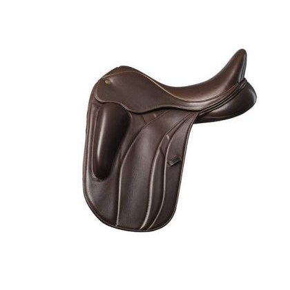 Fairfax Performance Stella Dressage Fairfax Performance Stella Dressage