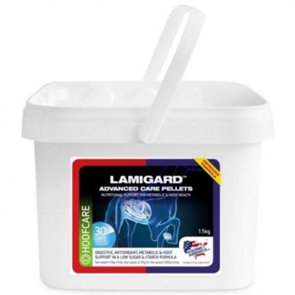 Equine America Digestion Digestion