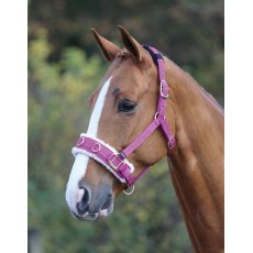 Pony and Full in 3 colour Waldhausen Unicorn Pink Lunging Girth Roller Shetland 