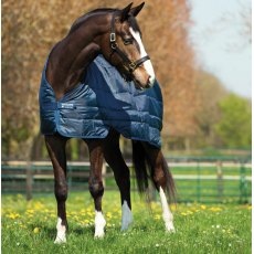 Horseware Liner 300g Horseware Liner 300g