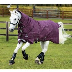 Rhino Pony Plus Medium