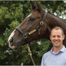 FairFax Headcollar