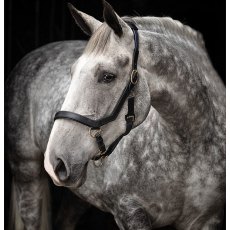 Rambo Micklem Head Collar