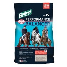 Baileys No19 Performance Balancer Baileys No19 Performance Balancer