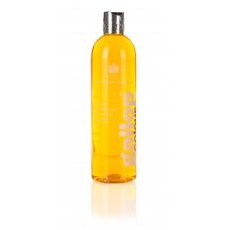 Carr & Day & Martin Gallop Colour Enhancing Shampoo - Chestnut & Palomino Carr & Day & Martin Gallop Colour Enhancing Shampoo - Chestnut & Palomino