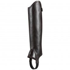 Ariat Concord Chap Ariat Concord Chap