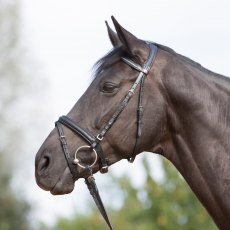 Kieffer Ultrasoft Flash Bridle