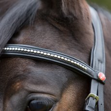 Kieffer Ultrasoft Flash Bridle