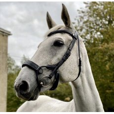 Ecorider Freedom Jump Bridle