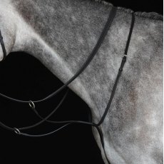 Collegiate Running Martingale IV