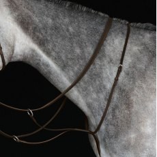 Collegiate Running Martingale IV Collegiate Running Martingale IV