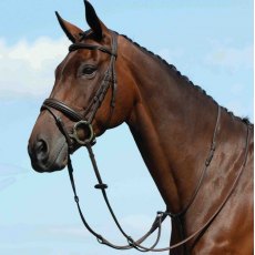 Collegiate Syntovia+ Plain Flat Running Martingale