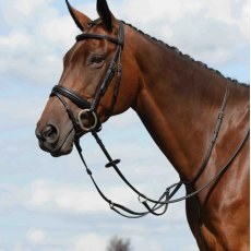 Collegiate Syntovia+ Plain Flat Running Martingale Collegiate Syntovia+ Plain Flat Running Martingale