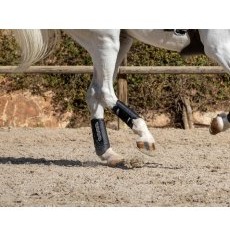 LeMieux Carbon Air XC Boots - Hind LeMieux Carbon Air XC Boots - Hind