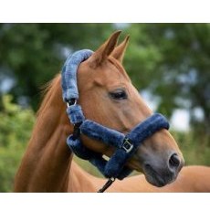 Ecorider Deluxe Headcollar Ecorider Deluxe Headcollar