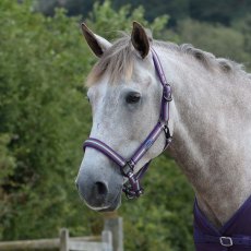 Weatherbeeta Coordinate Headcollar