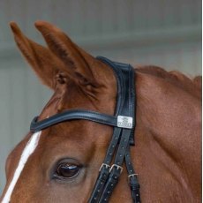 Fairfax Headpiece - Snaffle Bridle Fairfax Headpiece - Snaffle Bridle