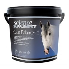Science Supplements Gut Balancer Science Supplements Gut Balancer