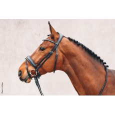 Schockemohle Stanford Bridle