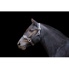 Ecorider Leather Headcollar