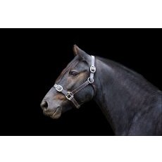 Ecorider Leather Headcollar Ecorider Leather Headcollar
