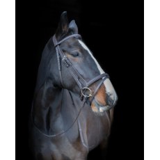 Cameo Equine Core Collection Comfort Bridle