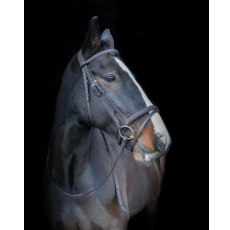 Cameo Equine Core Collection Comfort Bridle Cameo Equine Core Collection Comfort Bridle