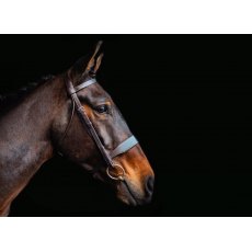Cameo Equine Core Collection Hunt Bridle