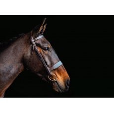 Cameo Equine Core Collection Hunt Bridle Cameo Equine Core Collection Hunt Bridle