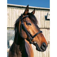 Ecorider Classic Comfort Bridle