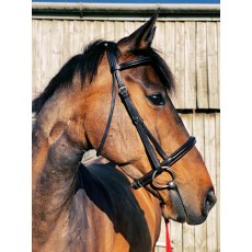 Ecorider Classic Comfort Bridle