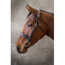 Ecorider Show Bridle