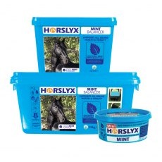 Horslyx Mint Horslyx Mint