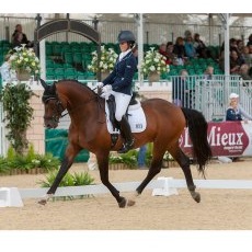 LeMieux Competition Dressage Cotton Square LeMieux Competition Dressage Cotton Square
