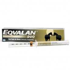 Eqvalan Duo