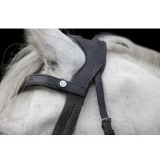 Ecorider Freedom Comfort Browband Ecorider Freedom Comfort Browband