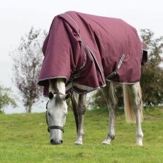 Weatherbeeta Comfitec Plus Dynamic II Detach-A-Neck Medium/Lite Weatherbeeta Comfitec Plus Dynamic II Detach-A-Neck Medium/Lite